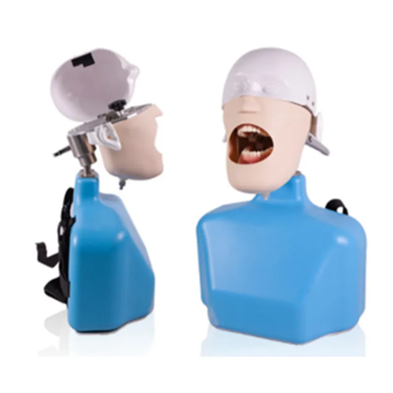 Dental manikins Phantom Head for dentistry and dental technology Sennior manikins Phantom Head with Torso