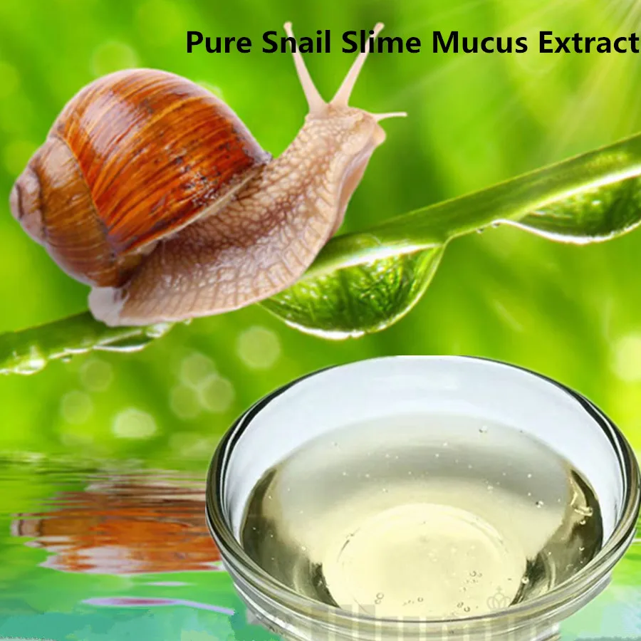 

Pure Snail Slime Mucus Extract Same As Snail Crawling On The Face Treatment Beauty Salon Equipment