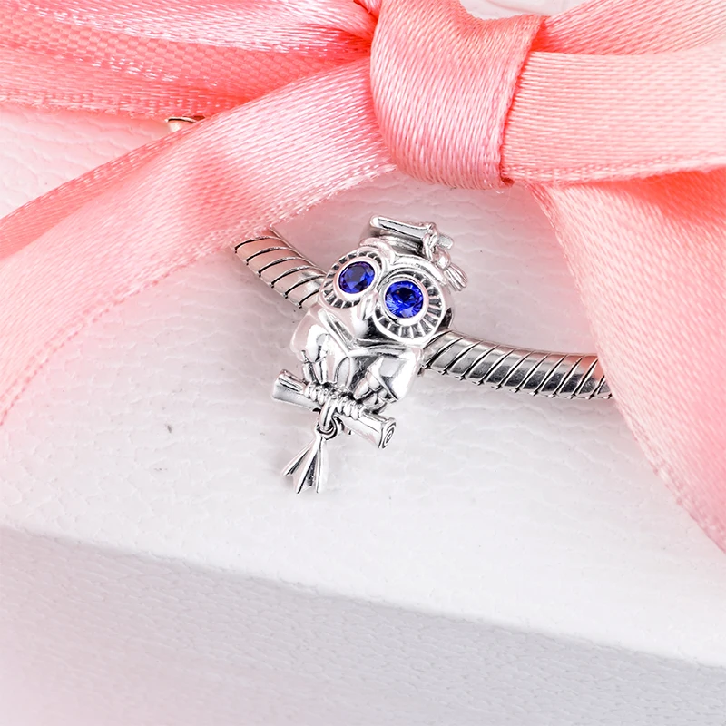 Wise Owl Graduation Charm 2020 New  Silver 925 Beads for Women Bracelets  Jewellry Making