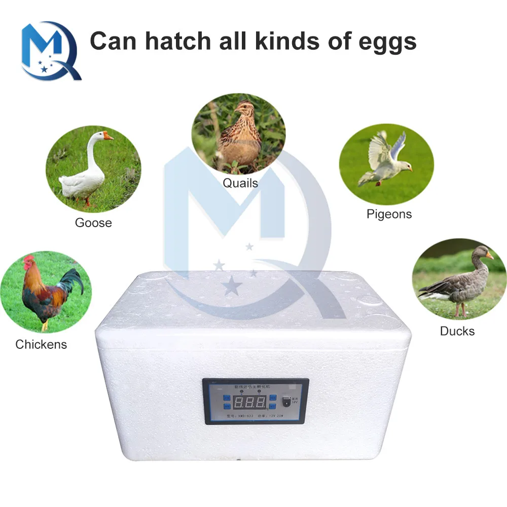 AC220V/DC12V Incubator 22/42 Position Household Foam Bionic Chicken Poultry Hatcher Automatic Temperature Control Incubator Tool