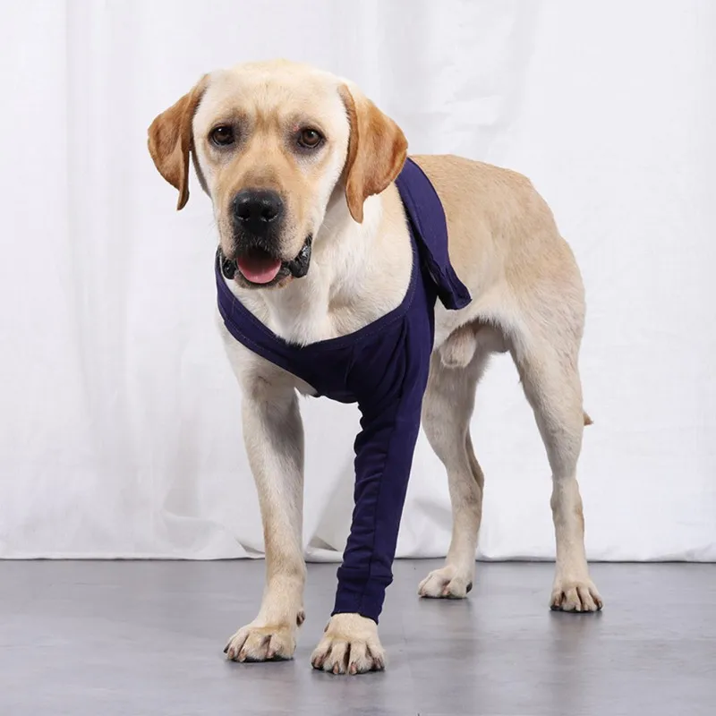 Pet Dog Support Brace for Front Leg Dog Anti-licking Protector Sleeve Hock Joint Wrap Breathable Injury Recover Legs Pad, 8Sizes