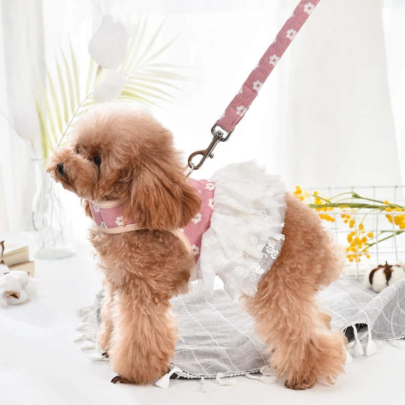 Luxury Dog Dress Harness And Leash Set 6 Color Girl Boy Pet Puppy Little Small Animals Cats Chihuahua Collar Walking Lead Goods