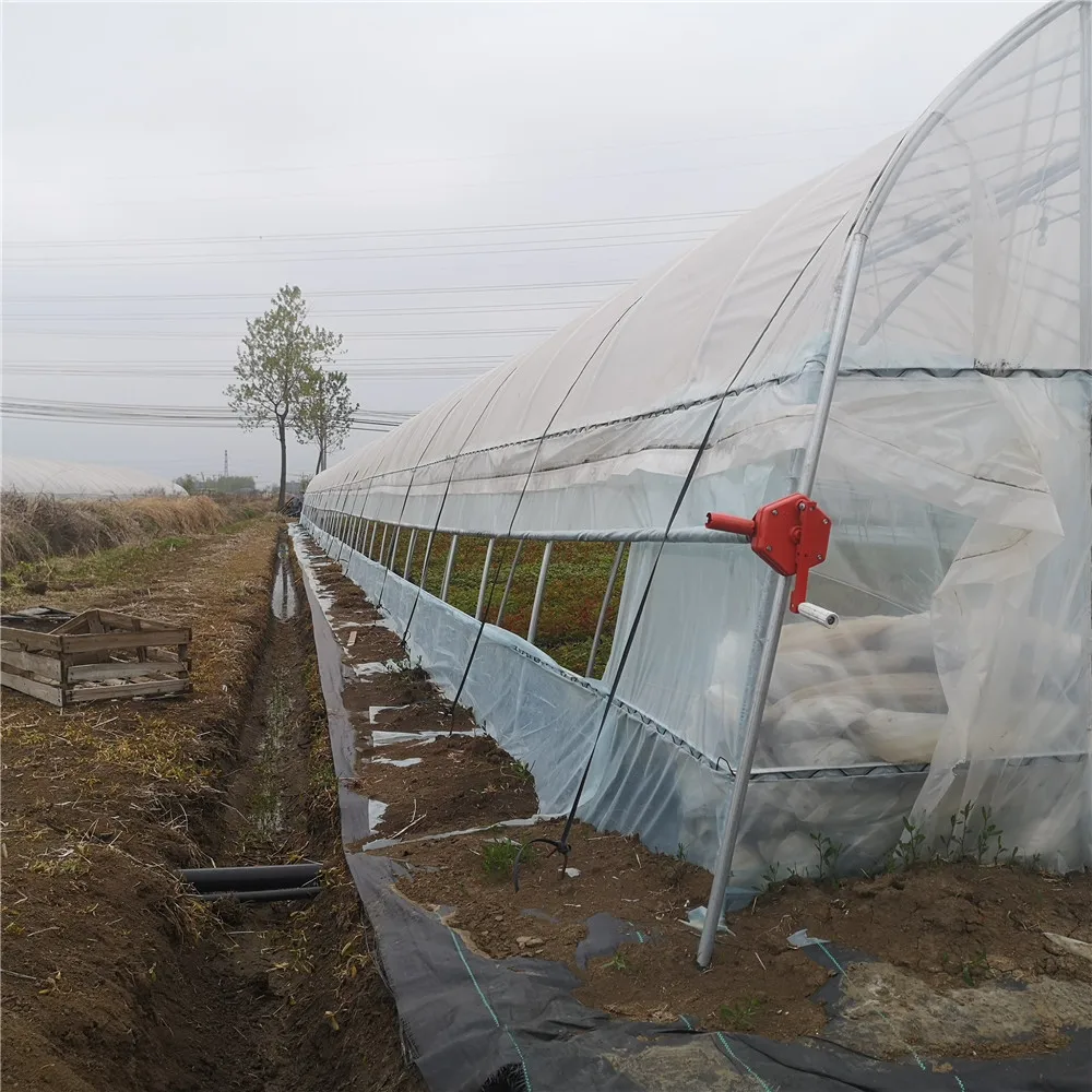 Agriculture Equipment Plastic shed Single-span Greenhouses Polytunnel