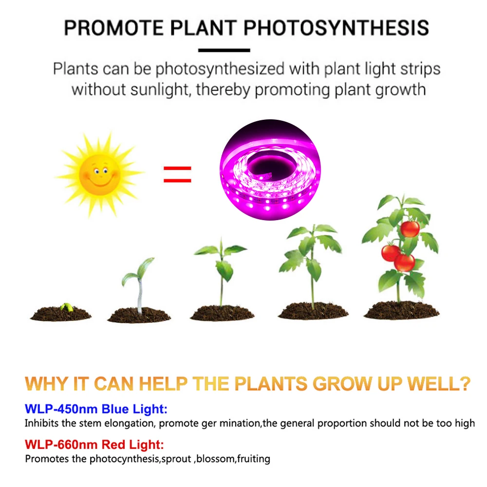 USB Phytolamps for Plants LED Plant Growth Light Strip 5V 2835 Chip 0.5m 1m 2m 3m for Hydroponic Greenhouse Seedlings Growth