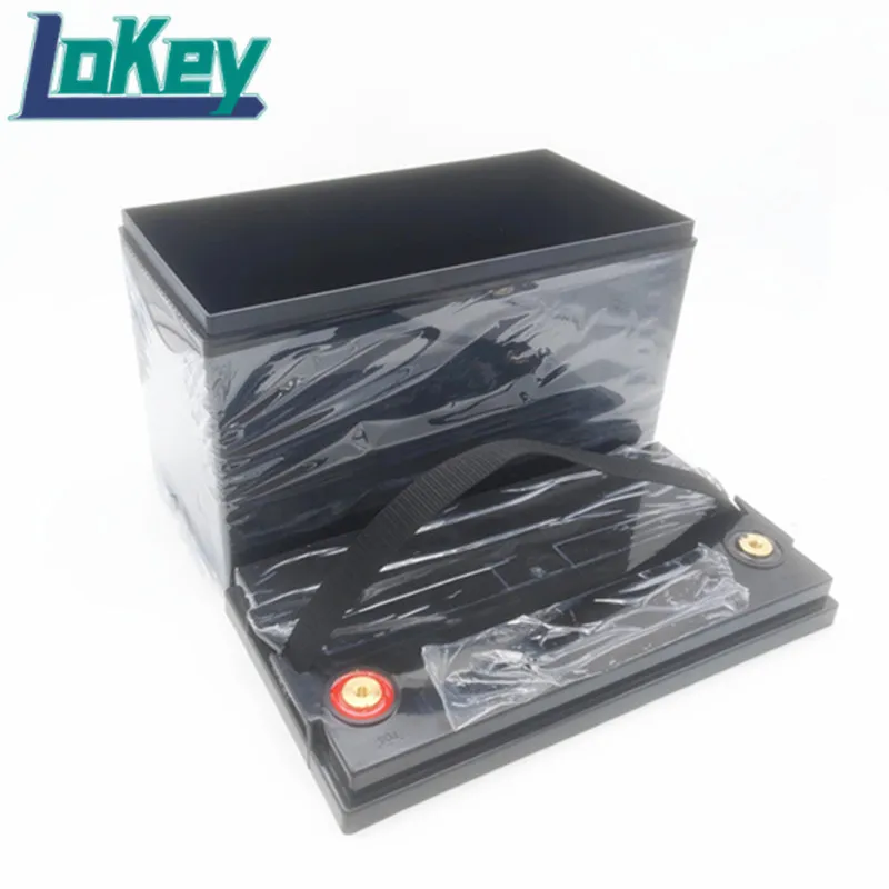 LiFePo4リチウムイオンバッテリー,12V,24V,48V,60Ah,80Ah,100Ah,空のプラスチックケース