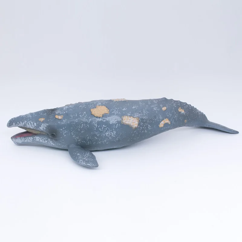 CollectA Wild Life Animals Ocean Gray Whale Plastic Simulation Toy Model #88836