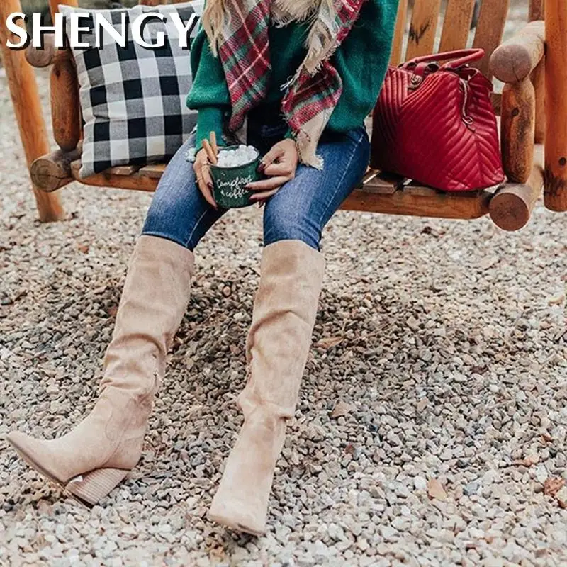 Winter Women Shoes Sexy High Pointed Toe Solid Color Slip-On Flock Warm Over The Knee Boots Ladies Mature Party Elegant Boots