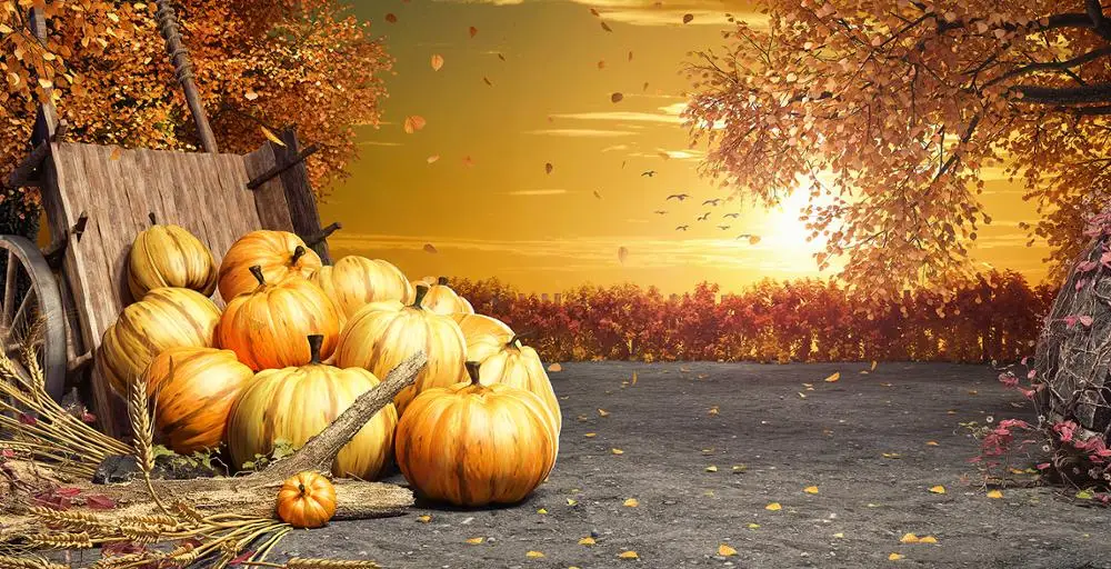 Фон для фотографий «Осенний урожай» с тыквами