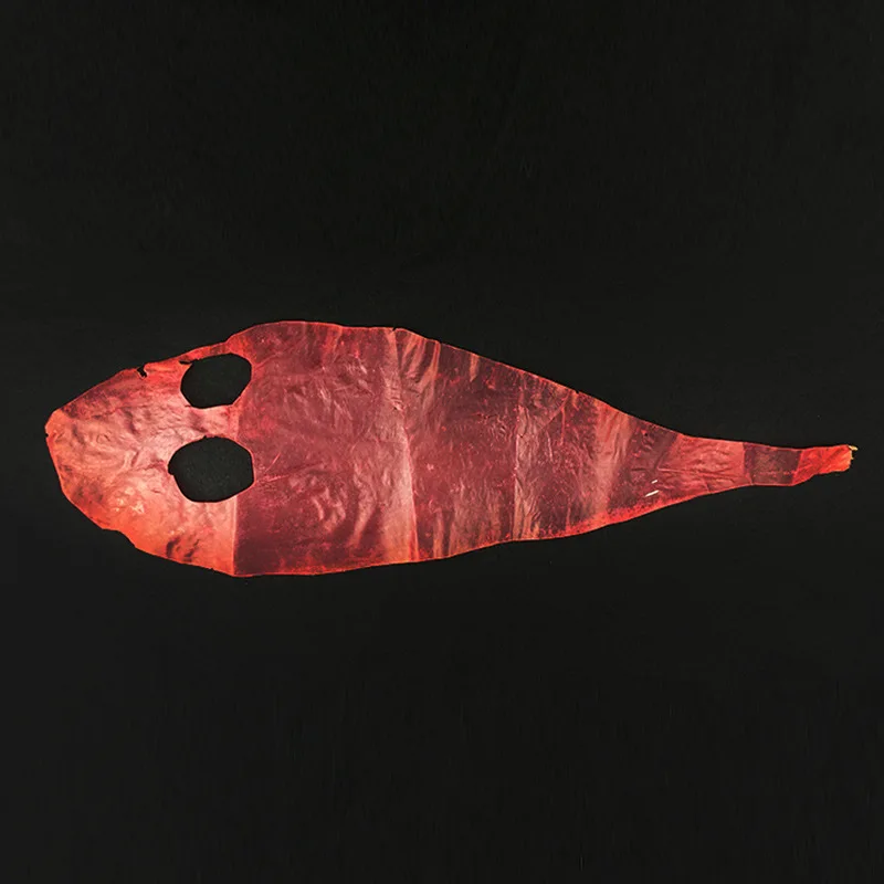 3PCS Multiple Color Real Fish Skin Film for Saltwater Fly Making Sabiki Rig Baits Shrimp Body Cover