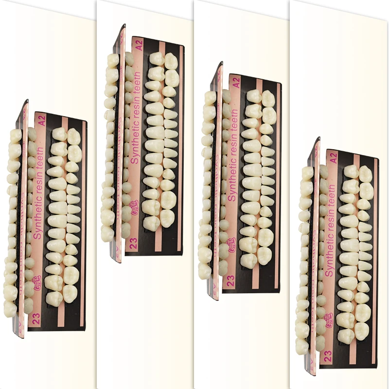 280/56pc Tooth model Plastic Teeth Teaching Model Dedicated Teeth Dental Material Teeth Care Tool A2Type Dentistry Dentist tools