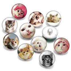 Lovely Cat love pet  18mm snap buttons 10pcs mixed round photo glass cabochon style for snap button jewelry
