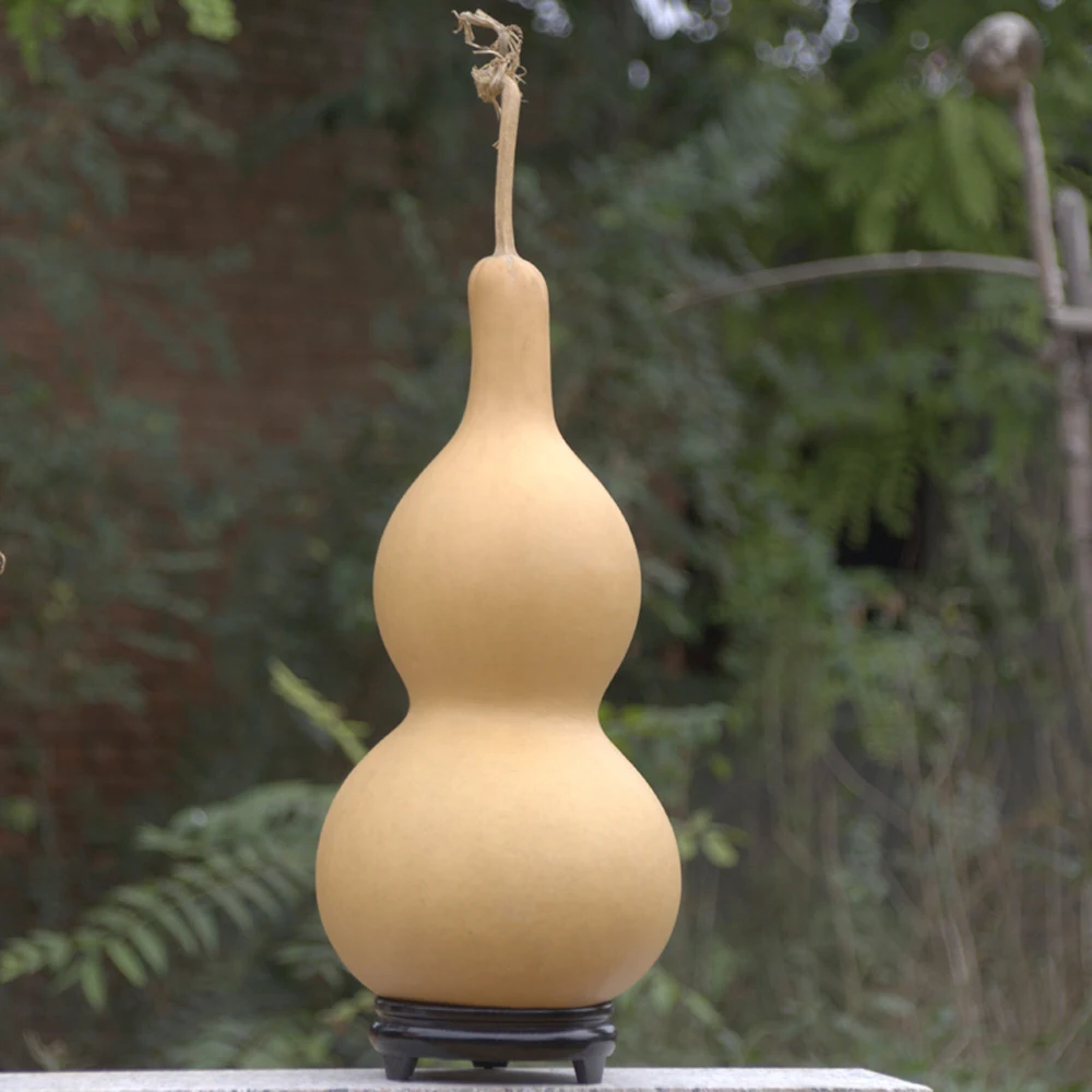 Calabash seco natural de cada tamanho & cucurbit para decorações de casa