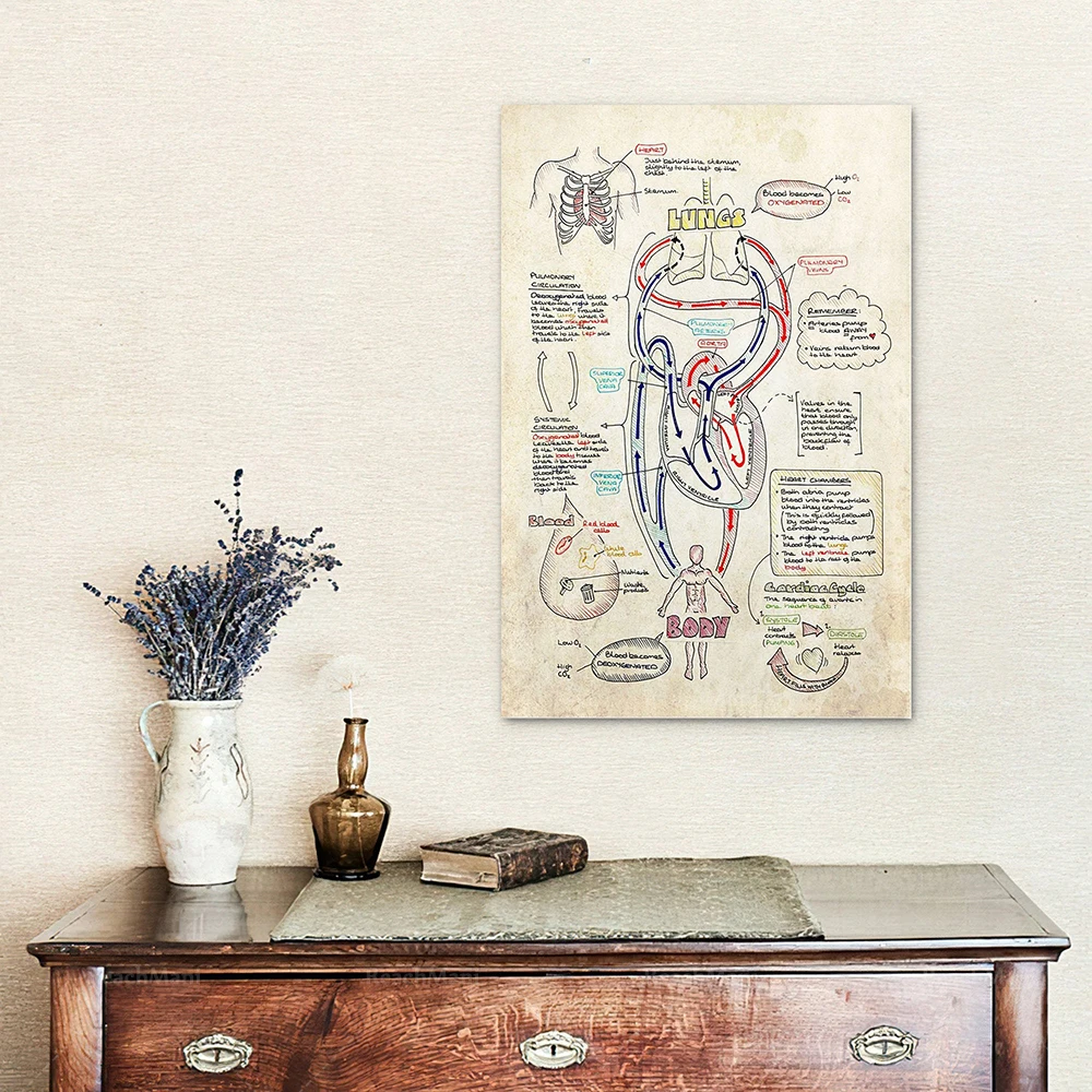 Respiratory therapist anatomy posters, respiratory gifts, respiratory therapist and pulmonologist gift ideas