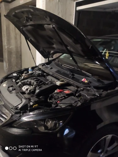 Imagen 2 del producto Para Peugeot 308 T9 2014-2021 capó delantero modificar puntales de Gas soportes de elevación amortiguadores varilla amortiguadora barra de apoyo fibra de carbono