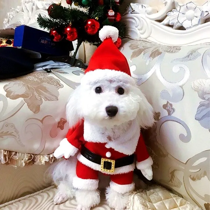 

2022 Dog Pet Christmas Transformation Christmas Teddy Than Panda Bear Small Dog Funny Funny Clothes Winter Clothes