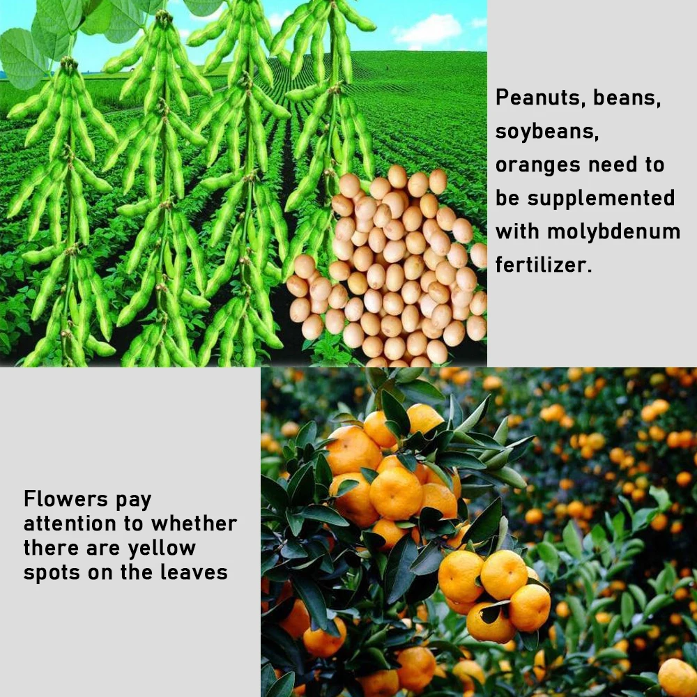 Рисунок 4 - Аммония Heptamolybdate Молибденовое