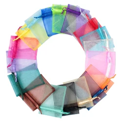 Garden Vegetables Fruit Grow Plants Protection Bags Anti-Bird Gardening Drawstring Netting Candy Grape Apple Mesh Pouch