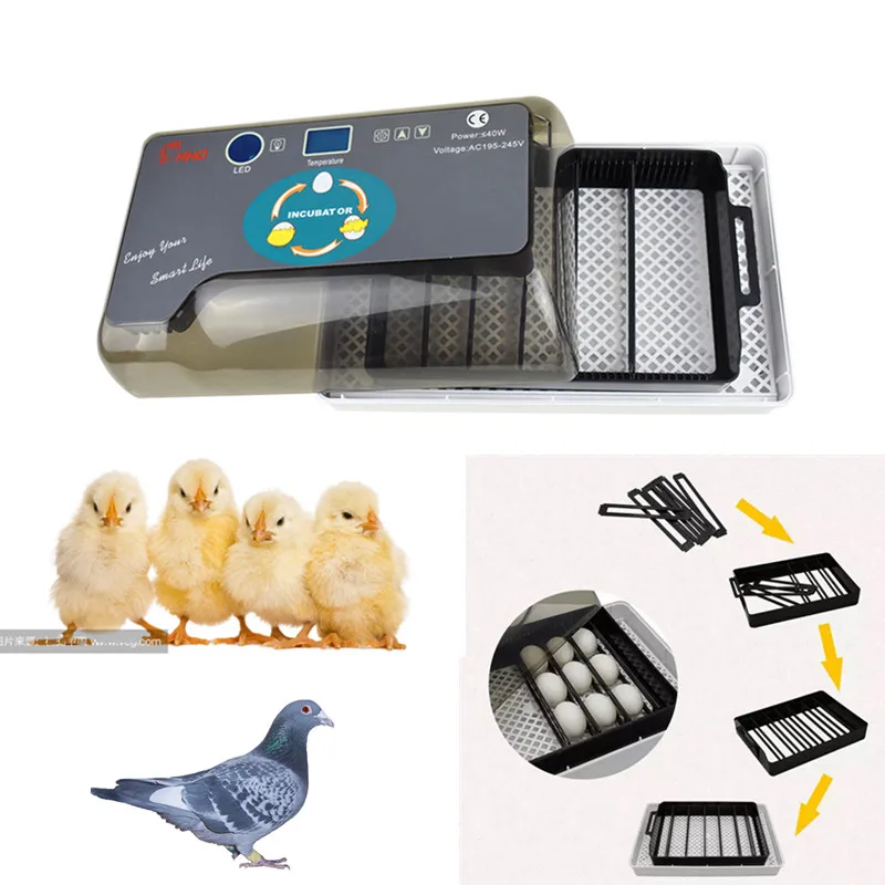 

Farm Hatchery Automatic Incubator Brooder Machine Egg Hatchers Chicken Automatic Eggs Incubator Pigeon Bird Quail Brooder Dropsh