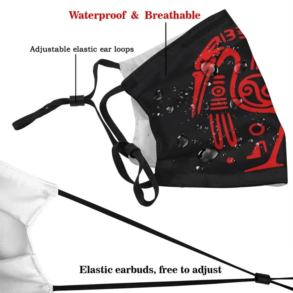 ?cultural Or Relating To Nature. Mask Cloth Reusable Print Filter Washable Tribal Iv Native Totem Navajo Raptors