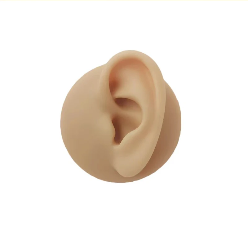 Soft Silicone Ear Model 1:1 Human Ear Nose Tongue Labret Model Simulation Display Props Teaching Tools Jewelry Display Earrings