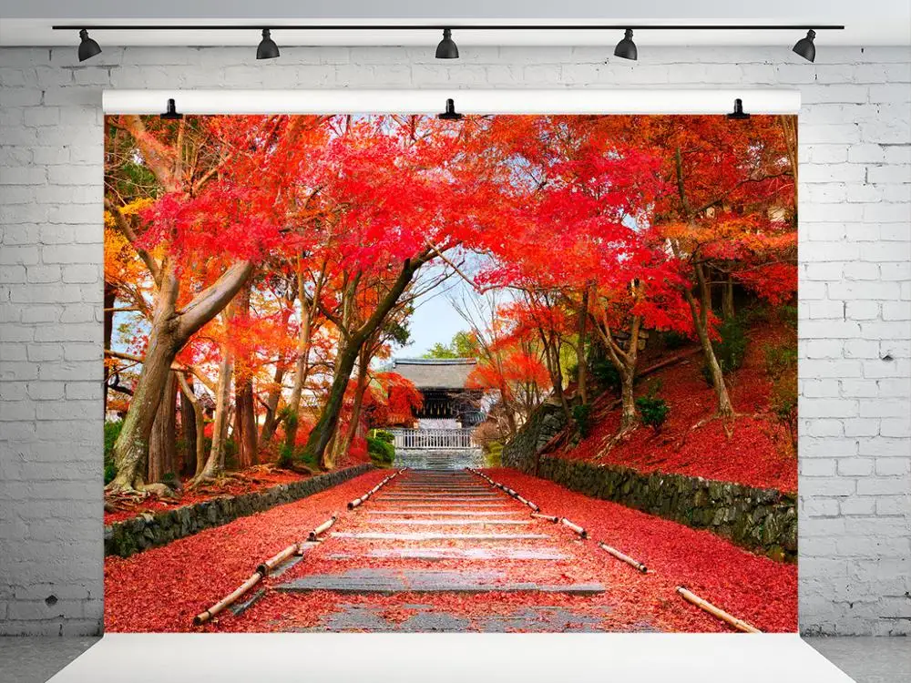 

VinylBDS Autumn Backdrops Photography Red Maple Leaf Photo Backdrops Scenery Trees Road Backgrounds For Kid Photo Studio