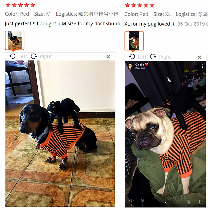 Halloween Costumes for Dog Clothes for Dogs Cat Chihuahua Winter Dog Coat Pet Clothing for Small Dogs Cats Clothes Christmas