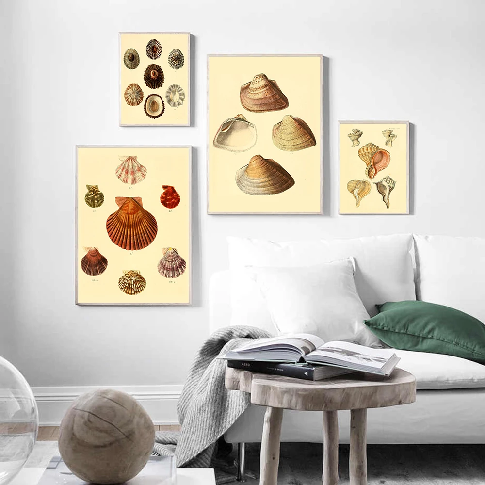 Sea Shell Prints Vintage Seaside Beach Print Illustrations Canvas Painting Posters And Picture On The Wall Decorative Home Decor