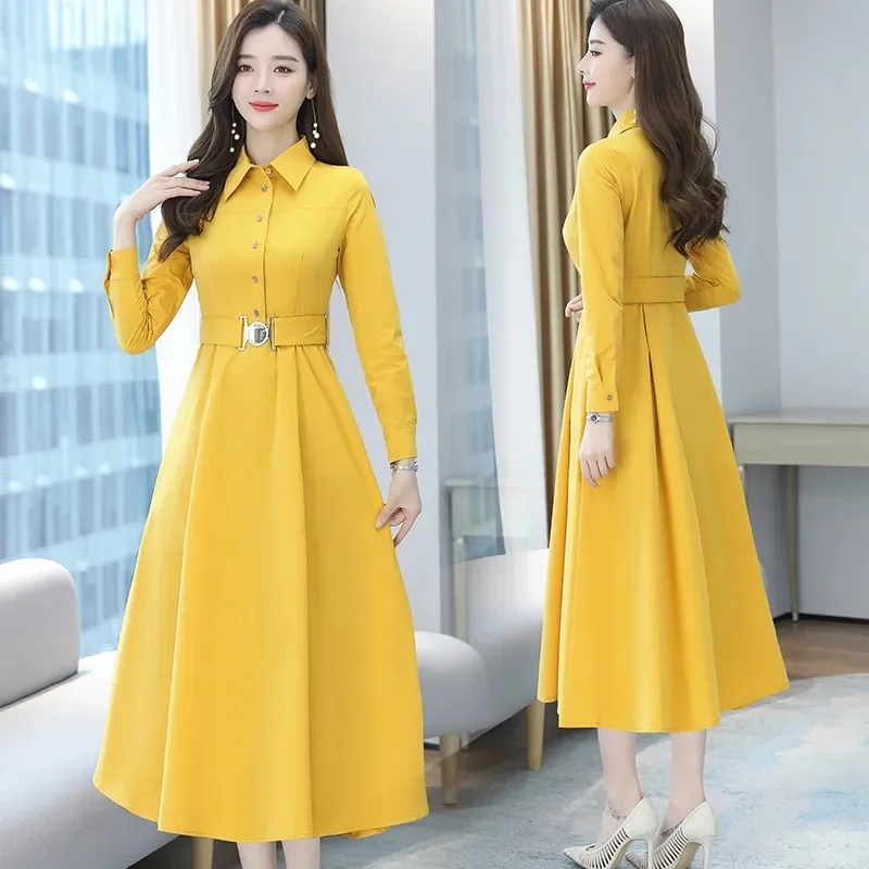 Women Dress New Female Spring Autumn Long Sleeve Dresses Middle-aged Female Fashion Dress Mujer Vestidos C