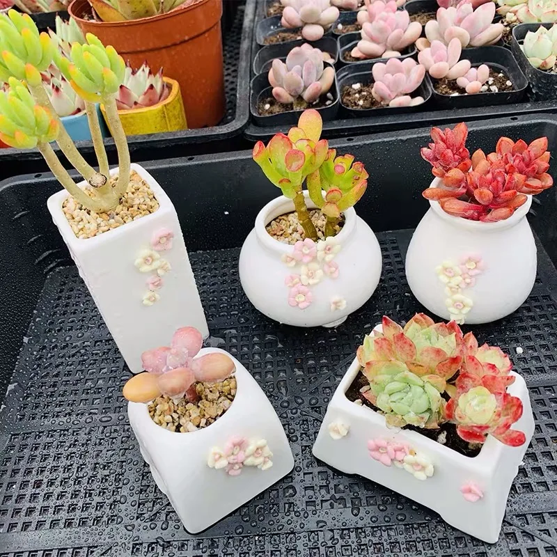 

Handmade White Flowers Flower Pot Succulent Cactus Pot Plant Garden Ceramic Planter Mini Pots Outdoor Garden Home