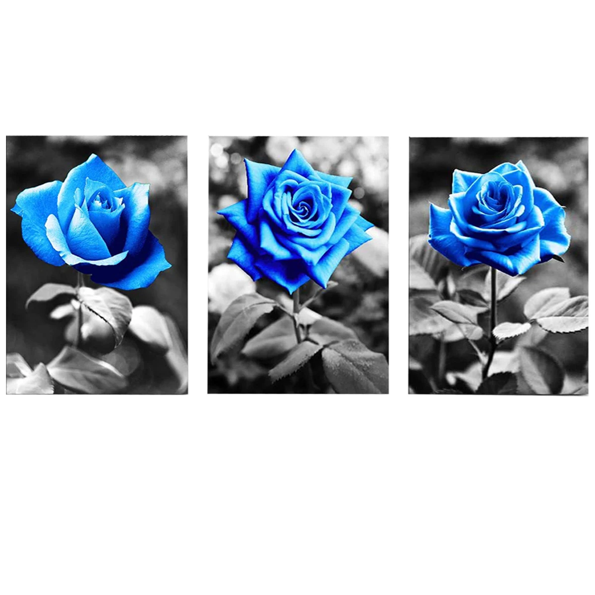 Black And White Blue Rose Flowers 5D DIY Diamond Embroidery 3 Piece Square Round Drill Mosaic 3d Cross Stitch Triptych,WW347