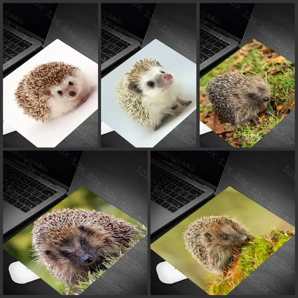 Yzuoan Large Promotion Small Size Mouse Pad Small and Exquisite Hedgehog Animal Pattern PC Computer Notebook Desk Mat