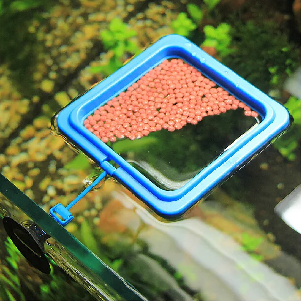 Prevent Feed Floating Everywhere Aquarium Square Circle Feeding Ring Fish Tank Station Fish Food Feed Feeding Ring