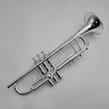 Bach Trumpet LT180S-37 Bb Tune Sliver Plated Professional Musical Instrument With Case Mouthpiece Accessories