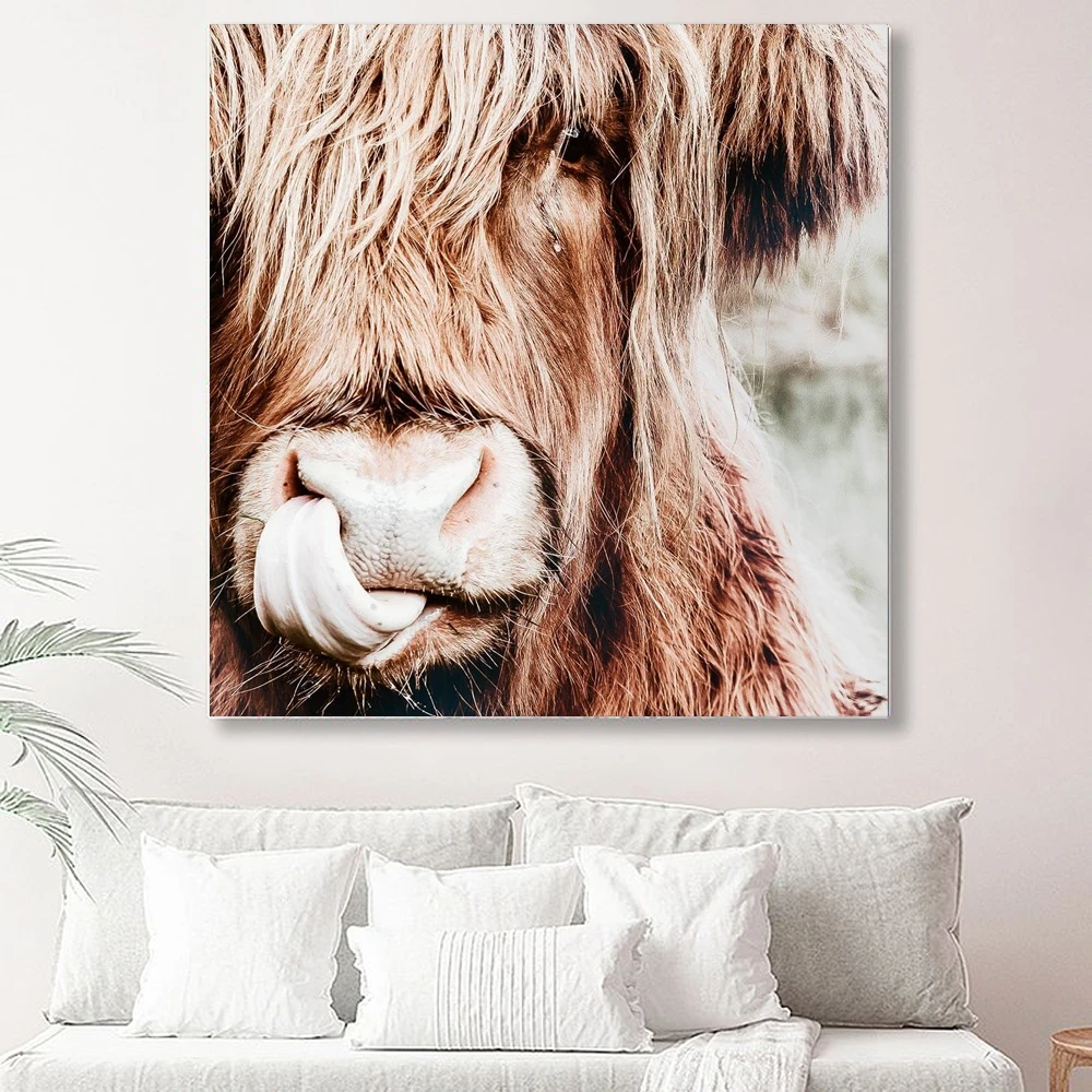 Wild Animal Highland Cow Poster Canvas Painting Prints Wall Art Pictures for Living Room Decor No Frame