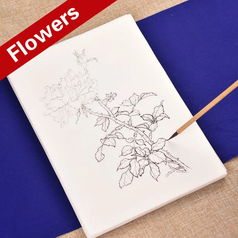 Flower Line Drawing Tracing Paper Chinese Tree Branch Flowers Manuscript Painting Drawing Copybooks Chinese Watercolor Painting