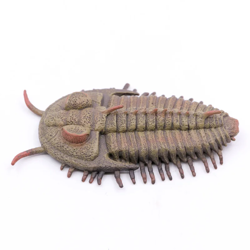 Colecciona animales prehistóricos Ocean Redlichia rex trilobite, modelo educativo de naturaleza, Figura de plástico de PVC #88906