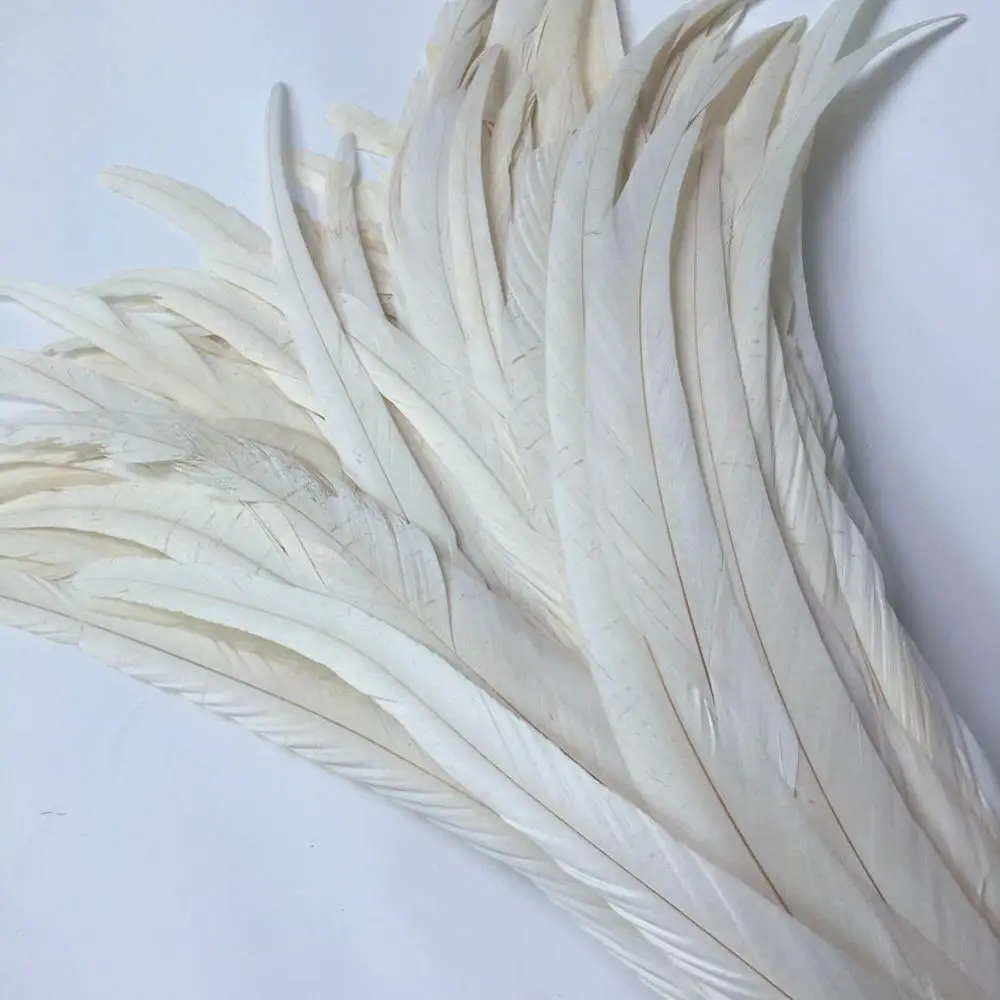 Wholesale 100pcs Natural Cock Tail Feathers 25-40cm / 10-16inch Clothing Decoration Stage Performance Rooster Feathers Plume