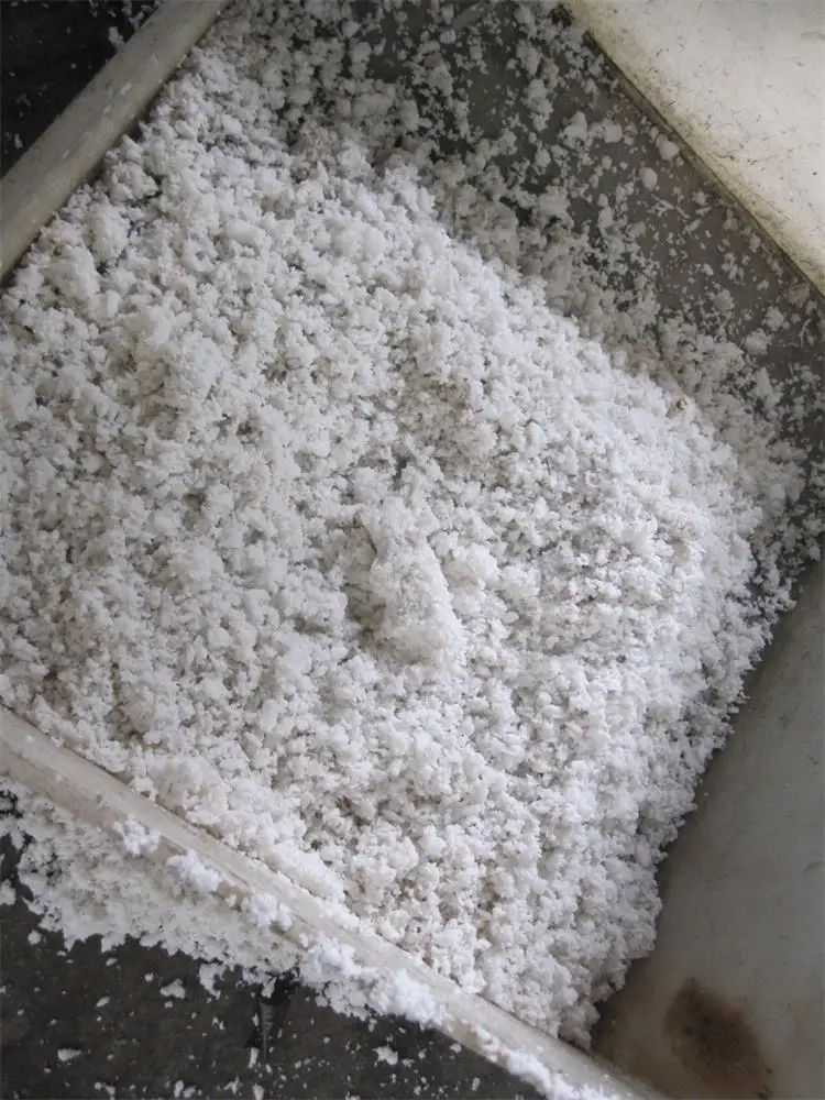 Industrial Coconut Shredder Grater Machine 2000-3000kg/h Coconut Meat Grinder Machine