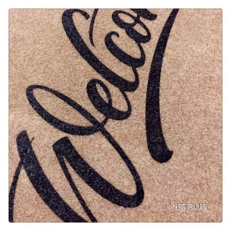 Decorative Front Door Mat Carpet Entrance Doormat for Home and Outdoors 40x60cm Polyester Fiber TPR Anti-Slip Hallway Floor Mat