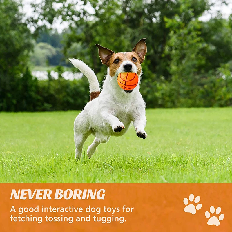 Thumbnail 3 - #2 Trending Puppy Fetch Toys Right Now