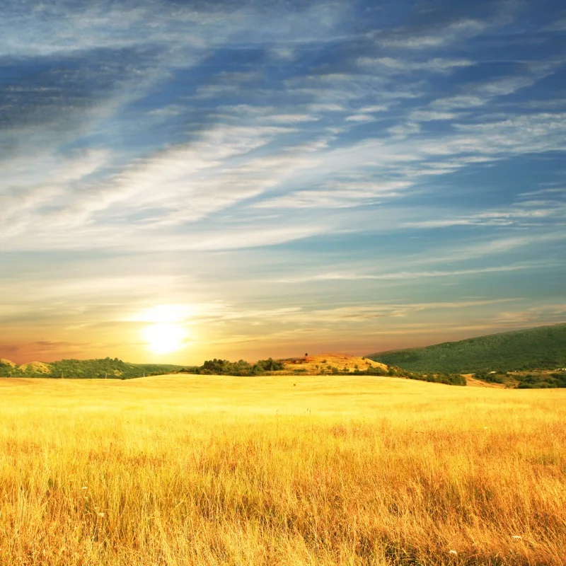 Laeacco Autumn Farm Field Hay Rolls Photography Backgrounds Blue Sky Scenic Mountain Plants Photographic Backdrops Photo Studio