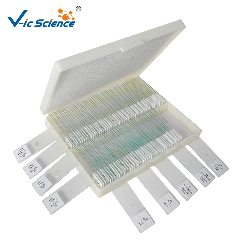 100PCS Microscope Prepared Slides for Teaching and Medical expriments