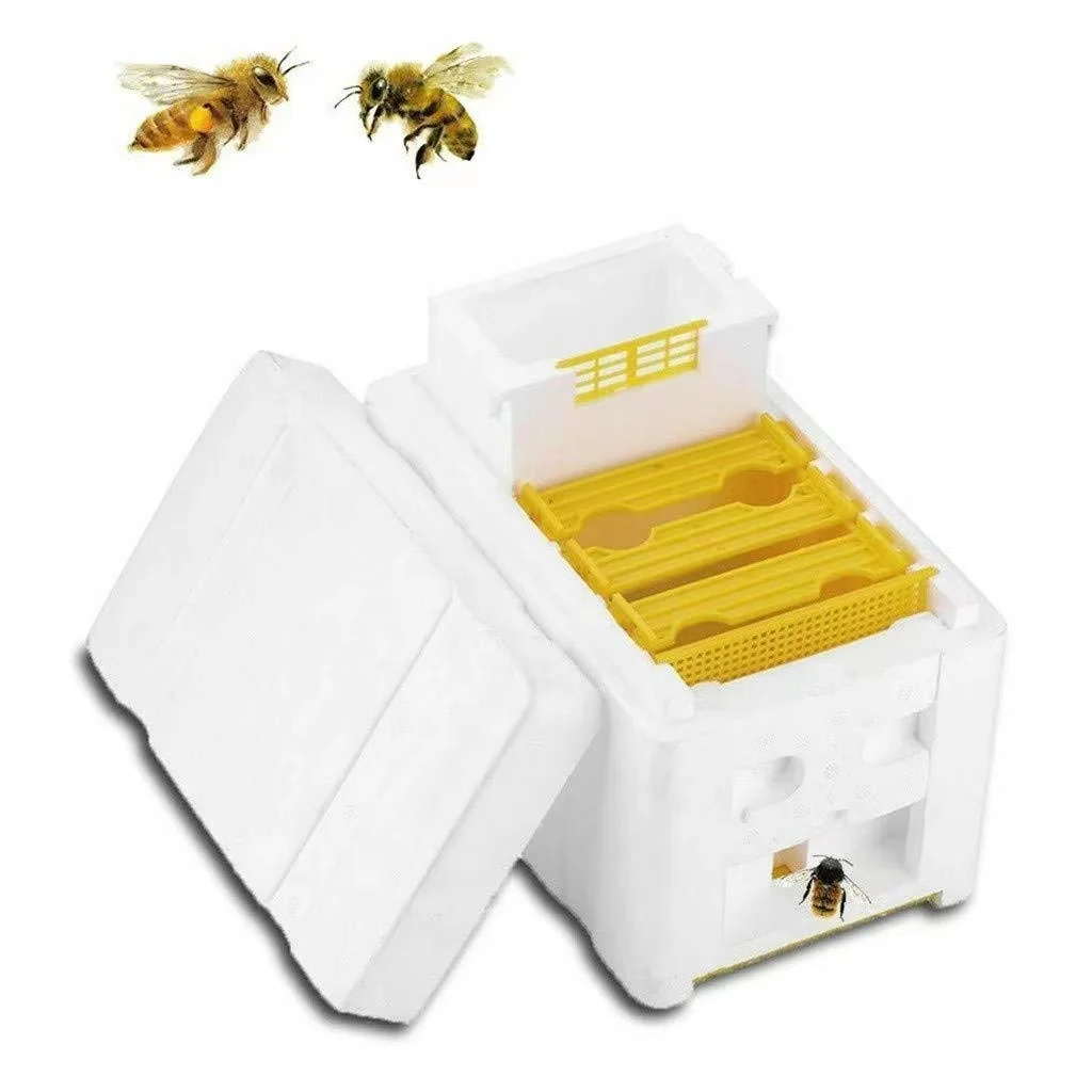 

Queen Bee Rearing Mating Beehive Nuc Harvest Pollination Bees Hive Box Reserve Beekeeping Tools For Beekeeper Supplies