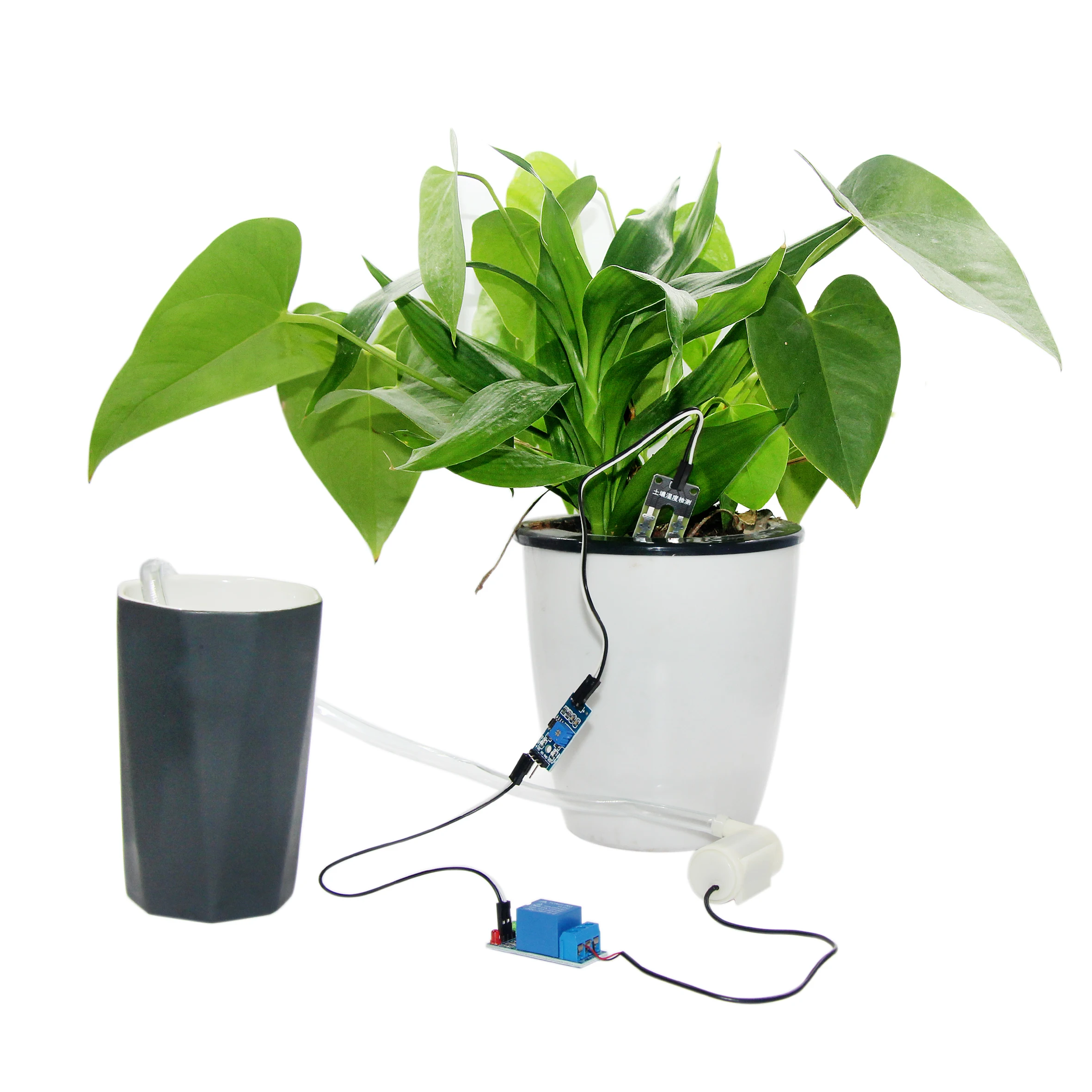 Automatic Irrigation Module DIY Kit for Soil Moisture Detection and Automatic Water Pumping