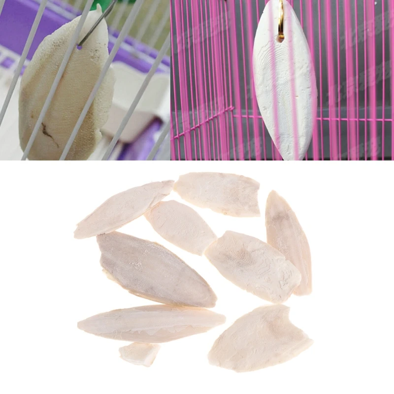 Bird Cuttlebone for Parakeets Deep Sea Cuttle Bone 2in - 2.8in Long Natural Calcium Source Chewing Toy for Small Pets