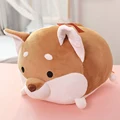 perro