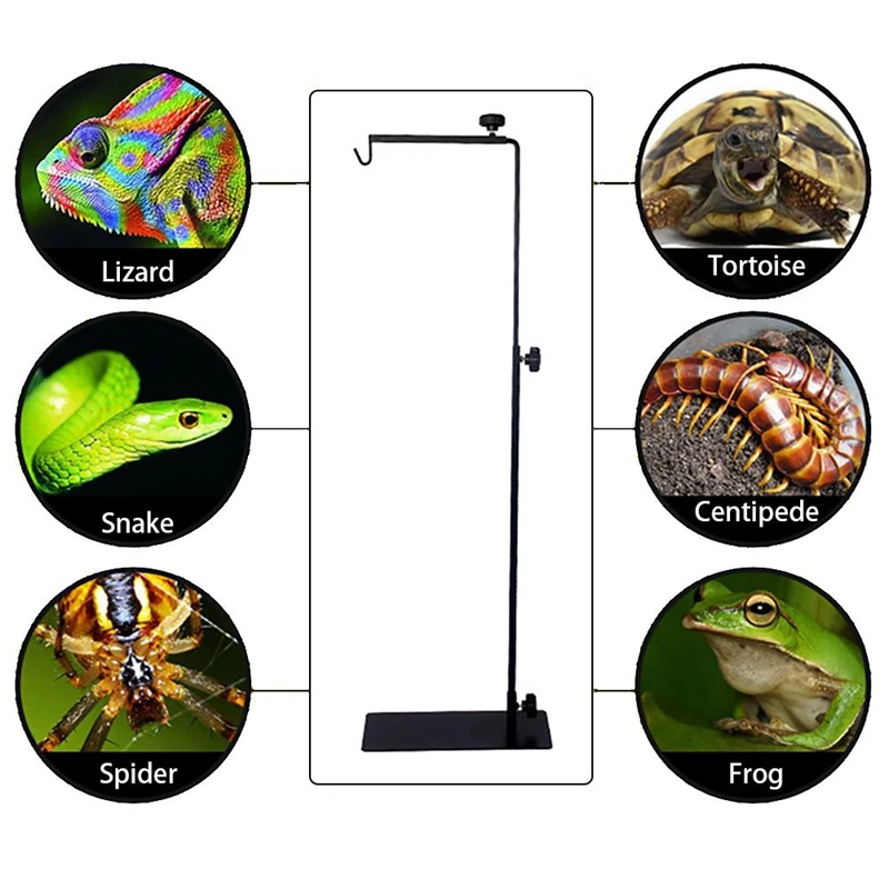 Hot Reptile Lamp Stand Adjustable Telescopic Metal Floor Lamp Bracket for Succulent Lizard Tortoise Turtle Heating Light Holder