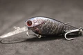 HC549X459