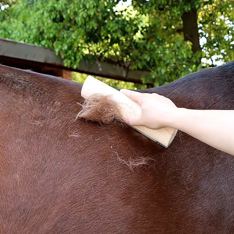 Stripper horses horses stables supplies cleaning brush horses epilator