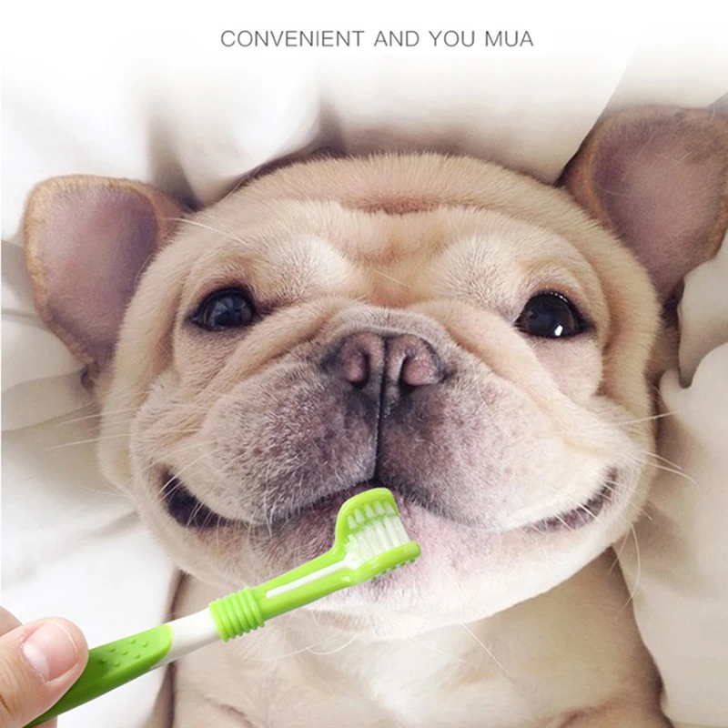 Pet Toothbrush Kit Dental Care Three Heads Dog Toothbrush Finger Toothbrush Teeth Care Dog Cat Cleaning Mouth Dog Toothbrush Kit